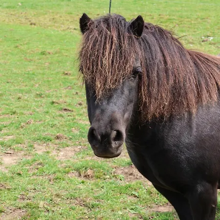 Granary Staintondale